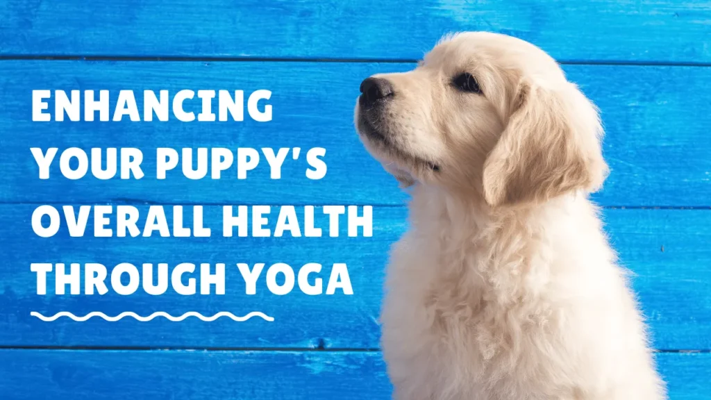 Enhancing Your Puppy’s Overall Health Through Yoga