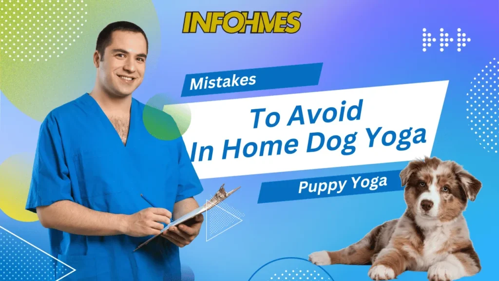 Mistakes to Avoid in Home Dog Yoga